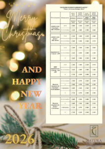 Коледни и Новогодишни празнични предложения